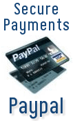 Payment processing via Paypal Payment processing via Paypal